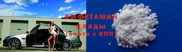 прущие грибы Покровск